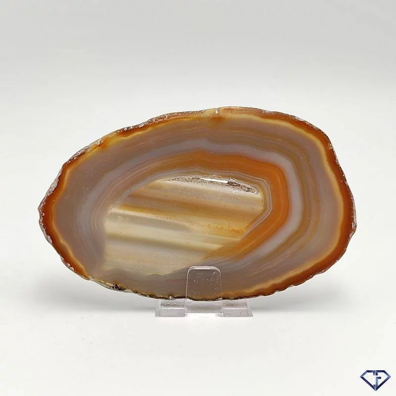 Tranche d'Agate naturelle