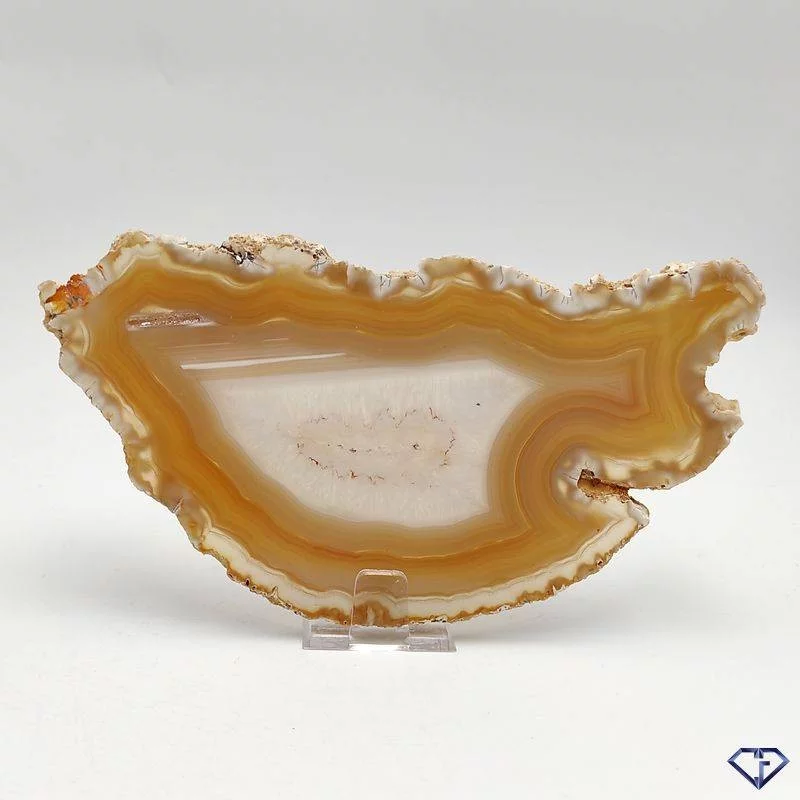 Tranche d'Agate naturelle