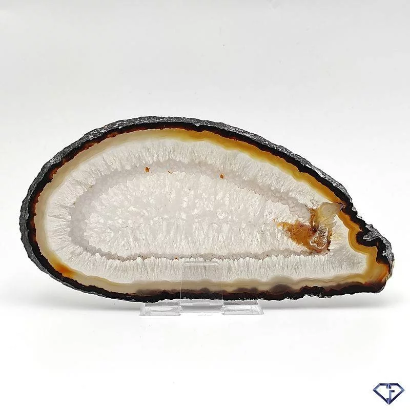 Tranche d'Agate naturelle