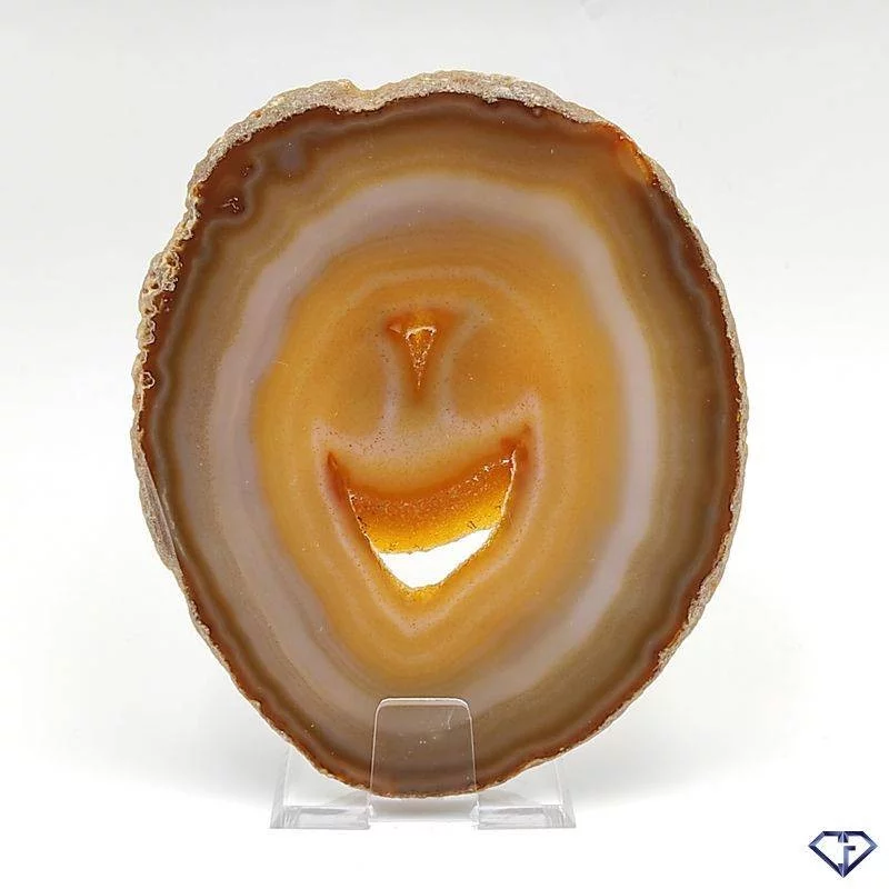 Tranche d'Agate naturelle