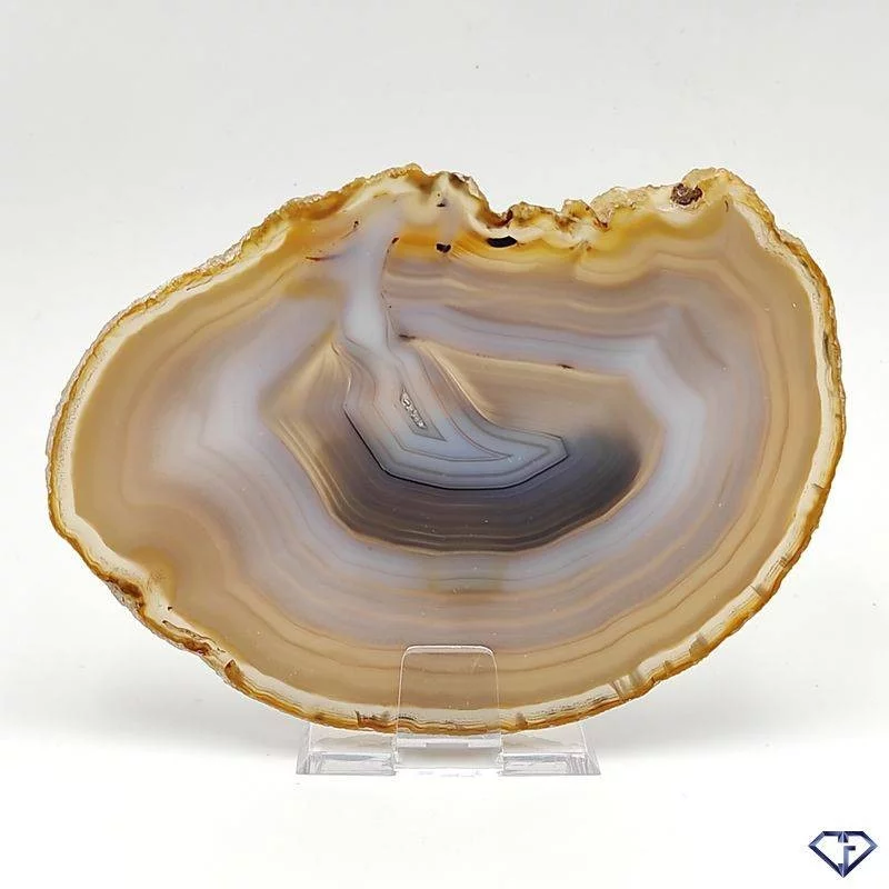 Tranche d'Agate naturelle