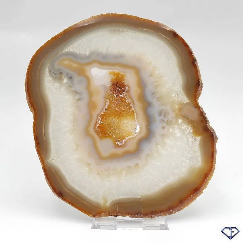 Tranche d'Agate naturelle