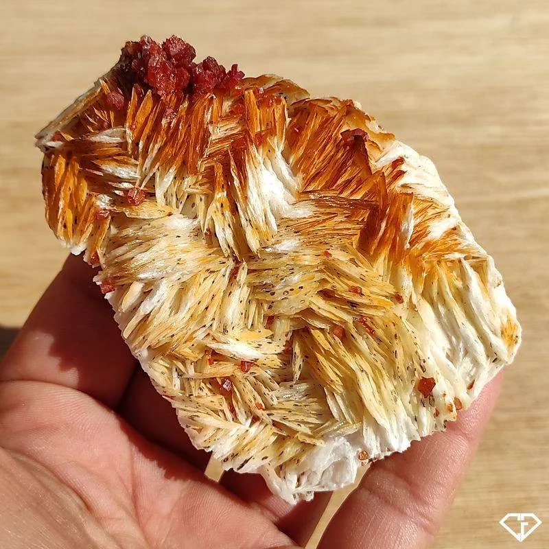 Vanadinite sur Baryte