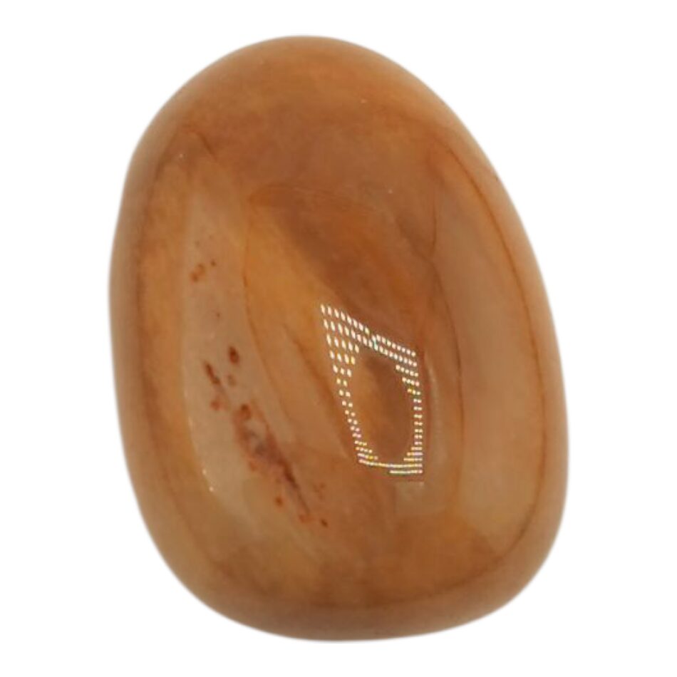 Pendentif de Bois fossile