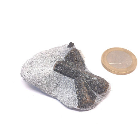 Staurodite (Staurolite) - Pierre Brute - Pierre de Croisette