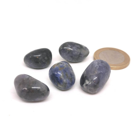Tanzanite - Pierre Roulée